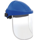 Face Shield System
